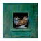 Stupell Industries Spotted Owls Perched Ledge Canvas Wall Art